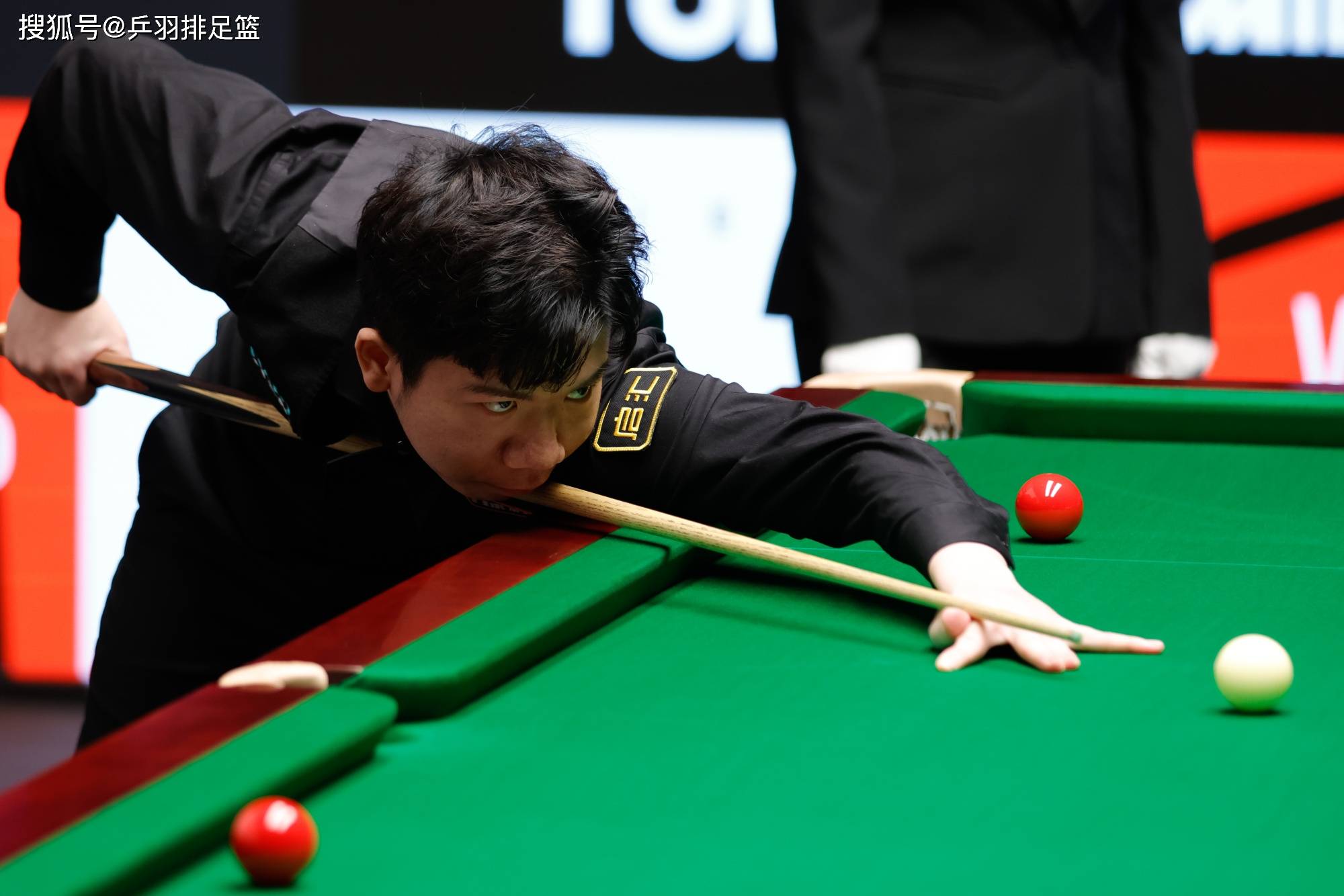 多特蒙德素 多特蒙德素